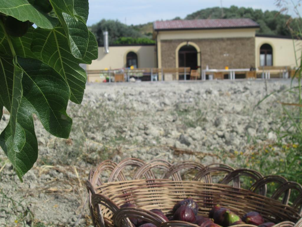 Agriturismo Donna Beatrice Bianco Exterior photo